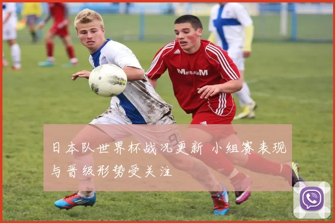 日本队世界杯战况更新 小组赛表现与晋级形势受关注