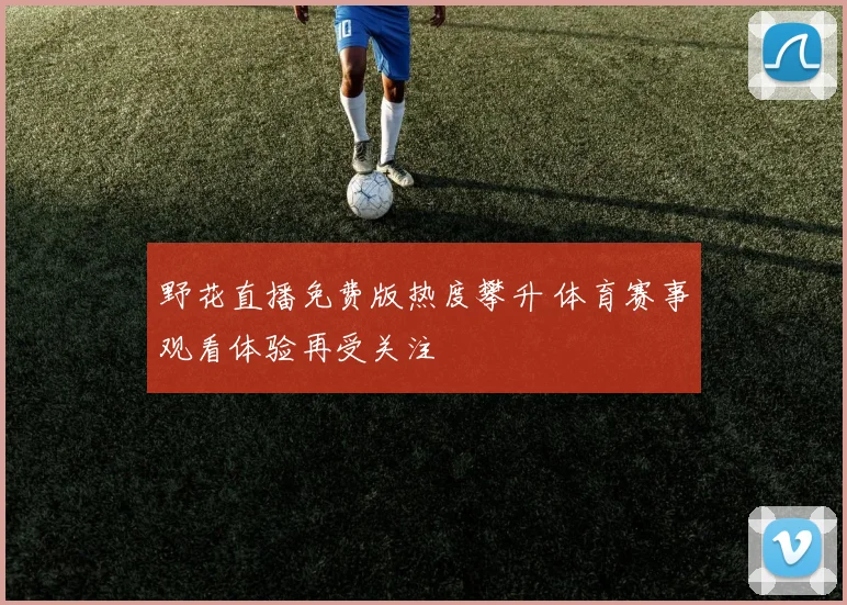 野花直播免费版热度攀升 体育赛事观看体验再受关注