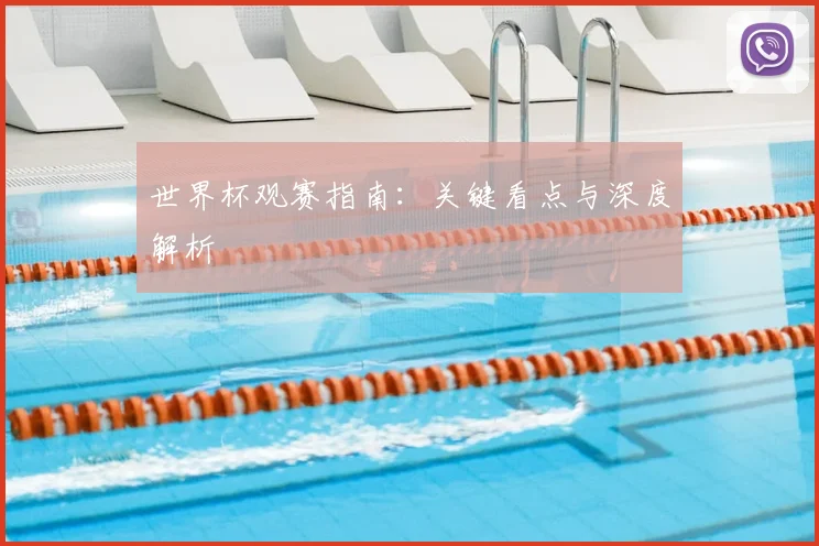 世界杯观赛指南：关键看点与深度解析