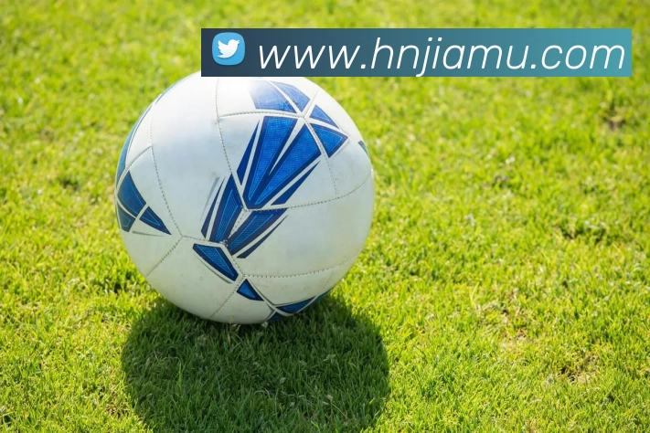 qy球友会(中国)官方网站品牌故事